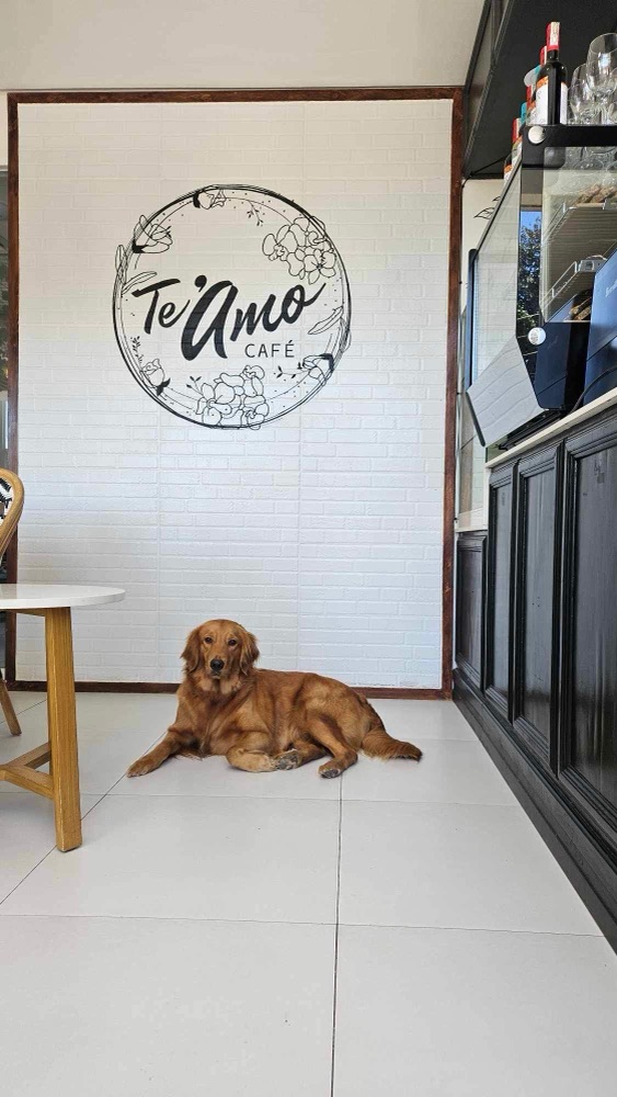 Amber relaxing by the Te'Amo logo wall